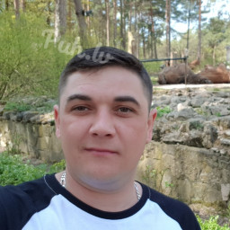 Vladimir, 41